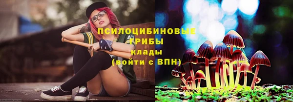 круглые Заволжск