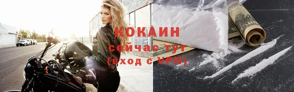 ALPHA PVP Заводоуковск