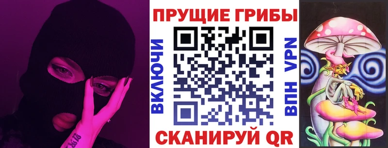 Псилоцибиновые грибы мицелий  нарко площадка официальный сайт  Избербаш 
