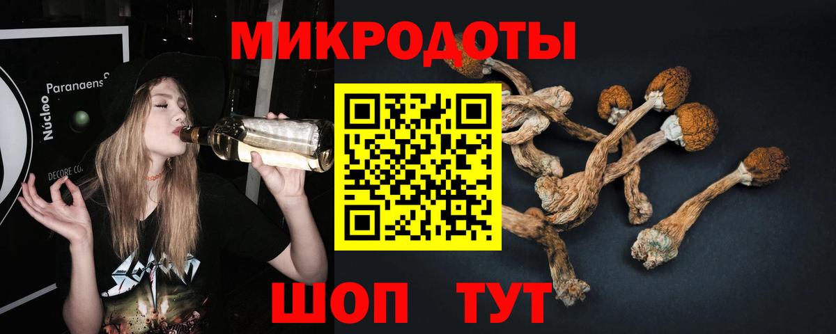 Псилоцибиновые грибы прущие грибы  наркошоп  Вход с VPN  Избербаш  Псилоцибиновые грибы Cubensis 